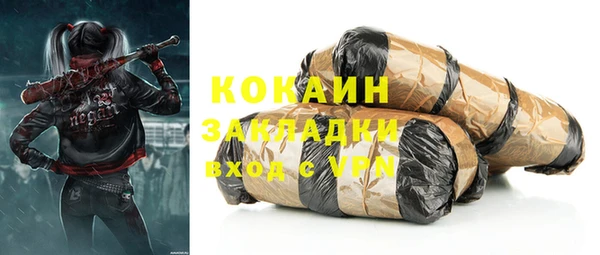 винт Абаза