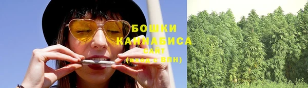 Альфа ПВП Осинники