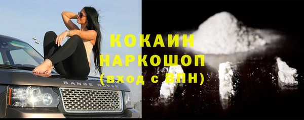 Альфа ПВП Осинники