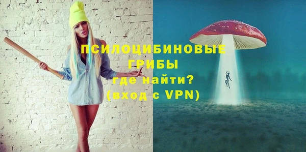винт Абаза